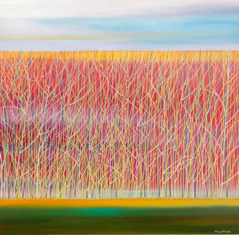 Artist Mary Johnson Douglas Albert Gallery